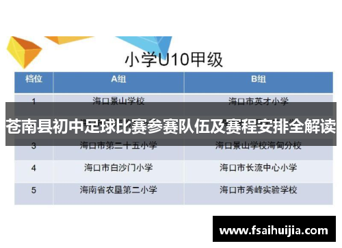 苍南县初中足球比赛参赛队伍及赛程安排全解读