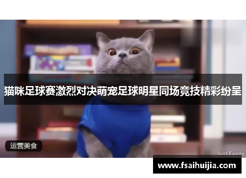 猫咪足球赛激烈对决萌宠足球明星同场竞技精彩纷呈